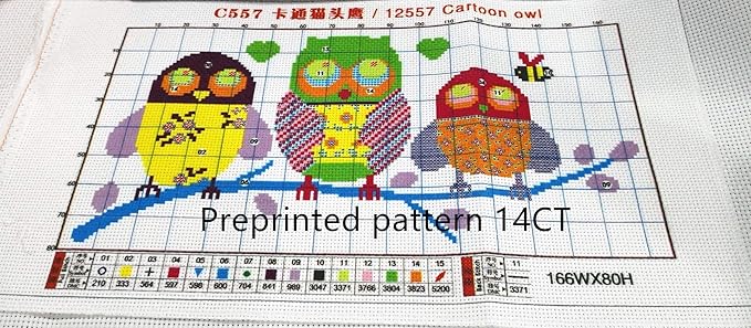 CaptainCrafts New Cross Stitch Kits Embroidery Kit Full Range Pre-Printed and Counted Fabrics Kits for Adults Beginners Home Decor (Stamped 14CT, Spring Lantern)