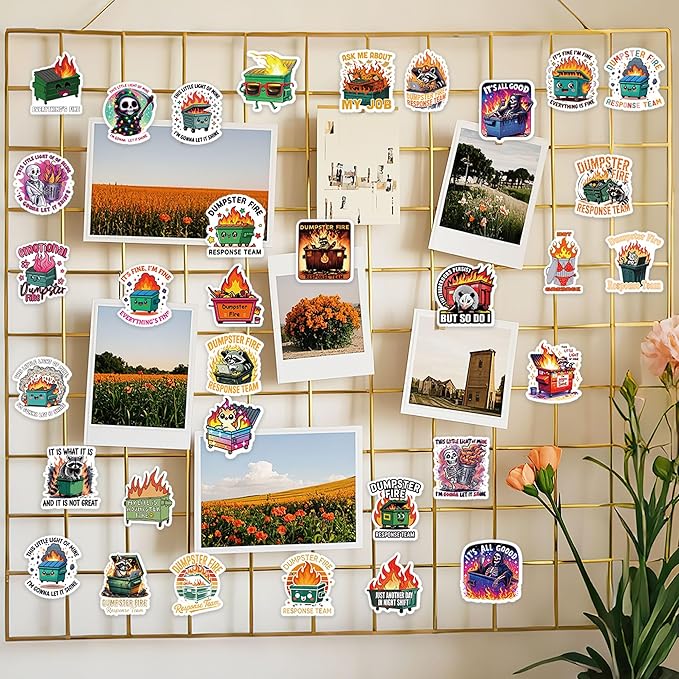 100 Pcs Dumpster Fire Stickers, Funny Dumpster Fire Gifts for Women Men Coworkers, Sarcastic Laptop Water Bottle Stickers for Adults, Humor Office Desk Journal Decor Pack