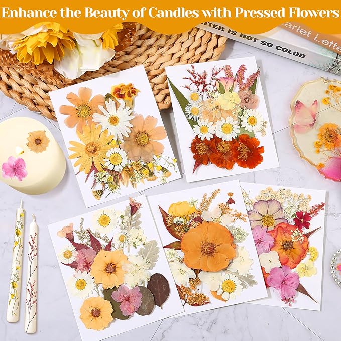 Dried Pressed Flowers for Resin, Real Pressed Flowers Dry Leaves Bulk Natural Herbs Kit for Scrapbooking DIY Art Crafts Epoxy Resin Jewelry Mold Candle Soap Making Nails Décor (Boho Pressed Flowers)