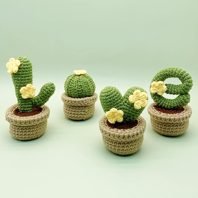 Lily's Lyric Crochet & Craft Kit | Cactus Love| Step-by-Step Video Tutorial for Adults Teenagers | Craft Gift Idea DIY Home Decoration
