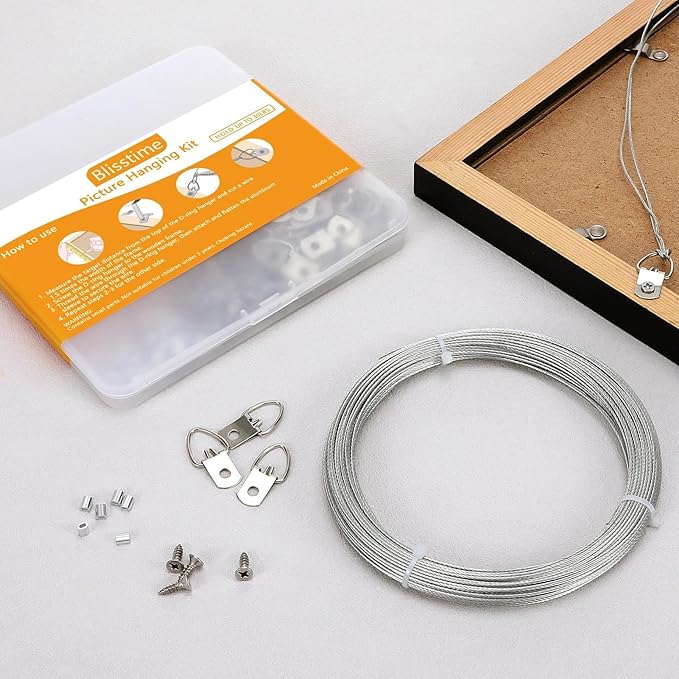 Blisstime Picture Hanging Kit - 100 Feet Braided Hanging Wire, 60 Pcs D Ring Picture Hangers with Screws and 60 Pcs Aluminum Crimping Loop Sleeve for Canvas Paintings, Photo Frames
