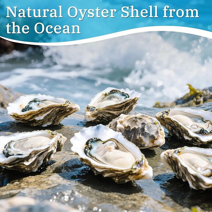 APUDWN 16 Set Natural Oyster Shells for Crafts 4-5 Inch Flat Oyster Shell Kits Drilled Includes Floral Chinoiserie Decoupage Napkins Glue Paints Twine Brushs for DIY Arts Hanging Ornaments