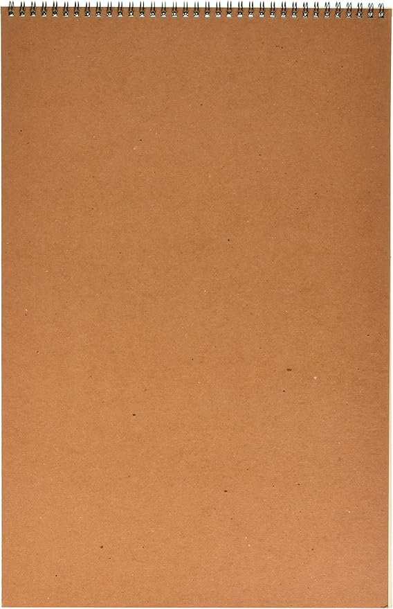 Strathmore (400-6 400 Series Drawing, Medium Surface, 12"x18", 24 Sheets , White