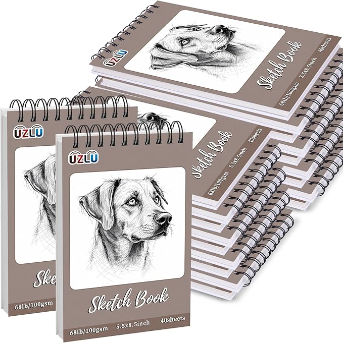 20 Pcs Sketch Books Bulk 5.5 x 8.5 In 800 Sheets Top Spiral Bound Sketch Pad Drawing Paper 40 Sheets Each Acid Free Mixed Media Sketchbook 68lb/100gsm Art Supplies for Beginner Artist