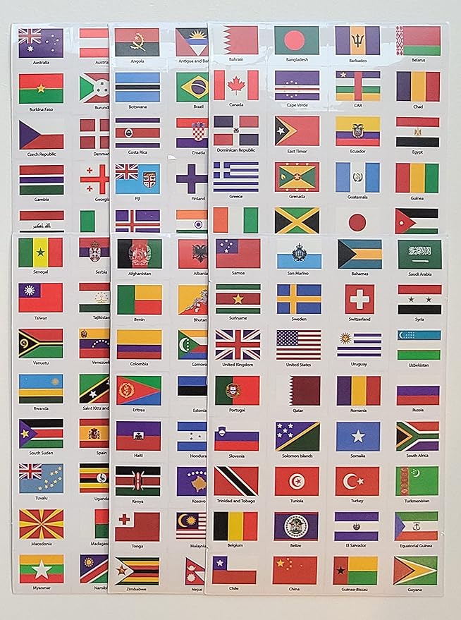 SJPRINTER Blank Passport Notebook | Pretend Passports | School Projects, Party favors, airplane toy, travel journal, geography, classroom social study (6Passports_6SetsFlags)