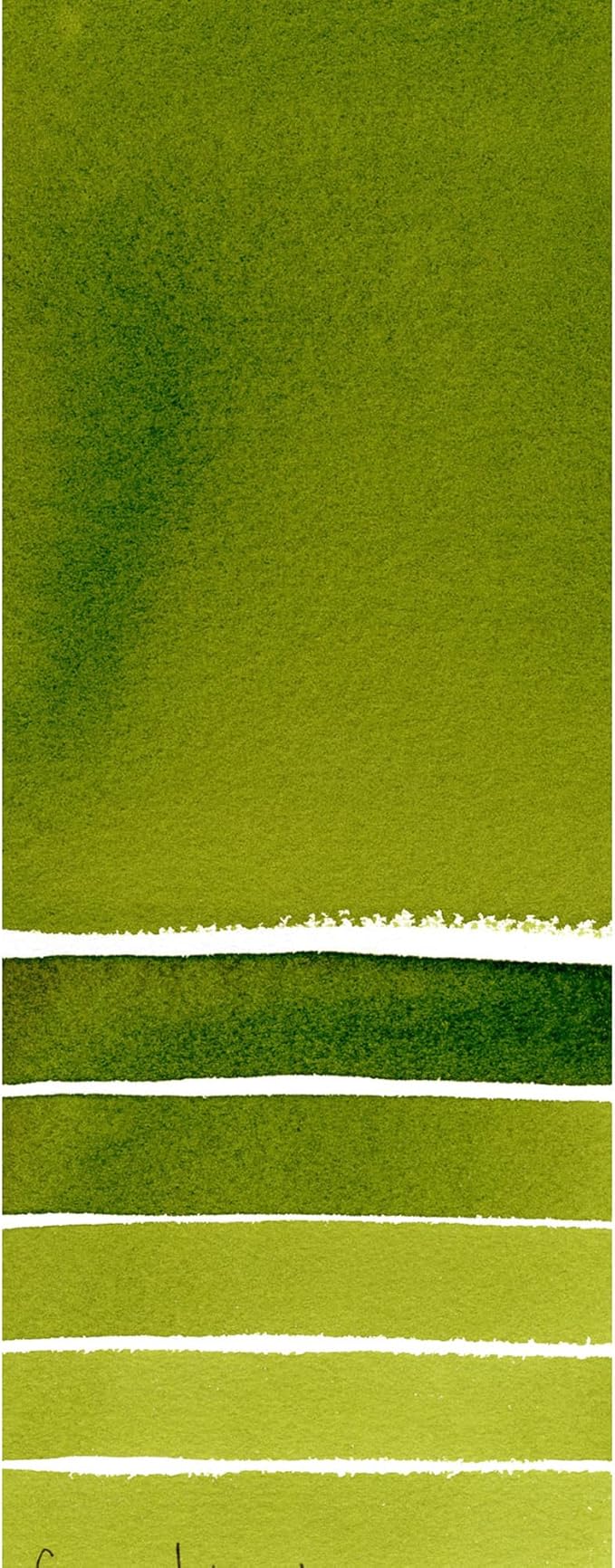 Daniel Smith Extra Fine Watercolor Paint, 5ml Tube, Sap Green, 284610102, 0.17 Fl Oz (Pack of 1)