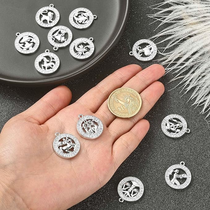 DanLingJewelry 24Pcs Tibetan Zodiac Charms Twelve Constellation Sign Horoscope for Jewelry Making DIY, FIND-CJC0017-13P-CHH