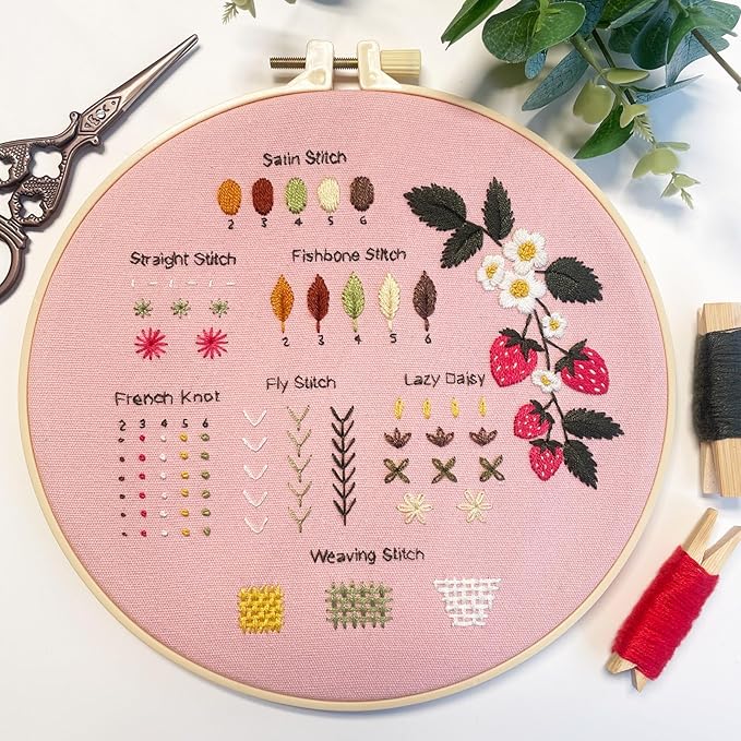 Myfelicity Embroidery Kit，with Strawberries, Greenery, Bees and Cat, with Instructional Video.