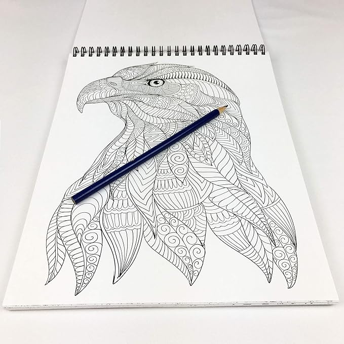 America Adult Coloring Book - 50 Hand Drawn American Designs Printed on Artist Paper, Thick Covers, Top Spiral Bound, Perforated Pages, and Blotter Page by USA Flag Co.