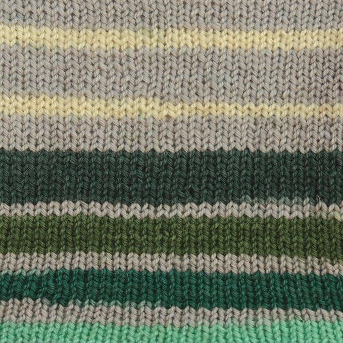 Patons Kroy Socks Yarn - (1) Gauge - 1.75 oz - Landscape Landscape - For Crochet, Knitting & Crafting