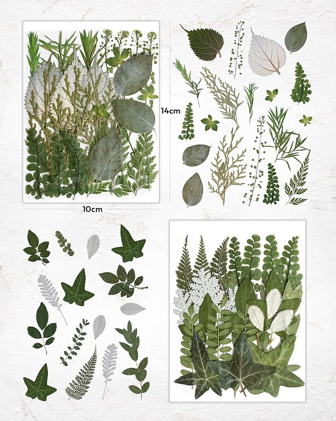Resiners Dried Pressed Flowers for Resin Molds, Real Natural Dried Flowers Dry Leaves kit for Scrapbook Supplies Card Making Resin Jewelry Making Soap Candle DIY Crafts (Green Leaves100pcs)