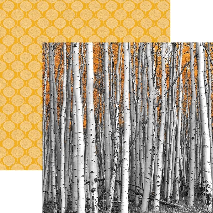 Reminisce Colorado Scrapbook Collection Kit