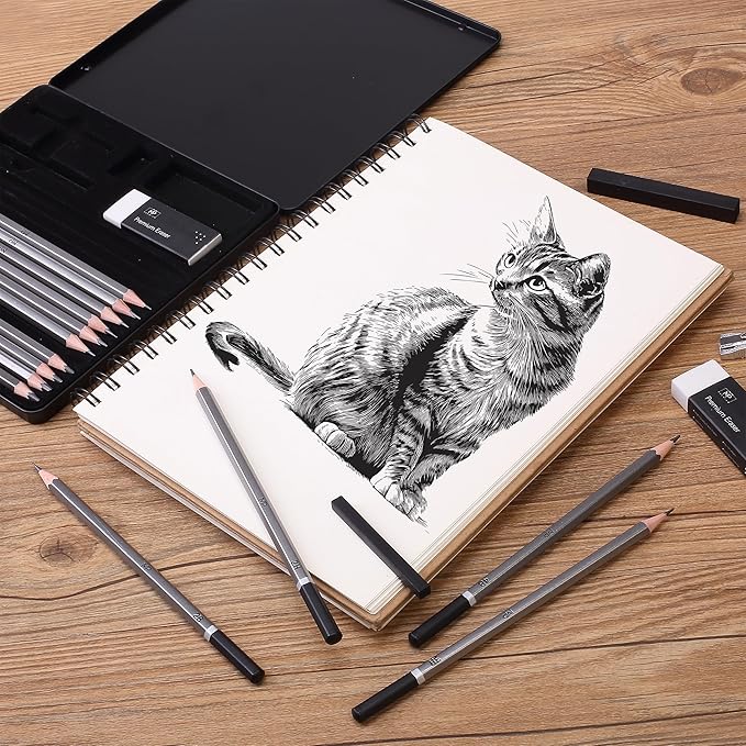 Mr. Pen- Sketch Pencils for Drawing, 19 Pcs, With Graphite Sticks, Erasers and Sharpener, Art Pencils for Sketching