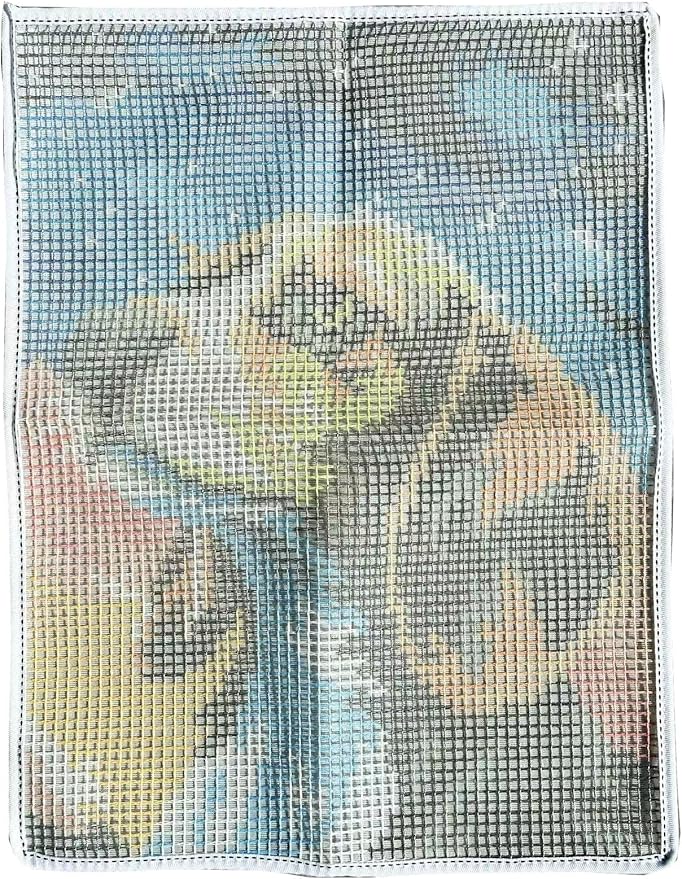 GLAECYY Latch Hook Kits Rug Crochet Yarn Kit Cushion Colour Pre-Printed Canvas Rug Needlework DIY Hook and Latch Kit (Star Dog)