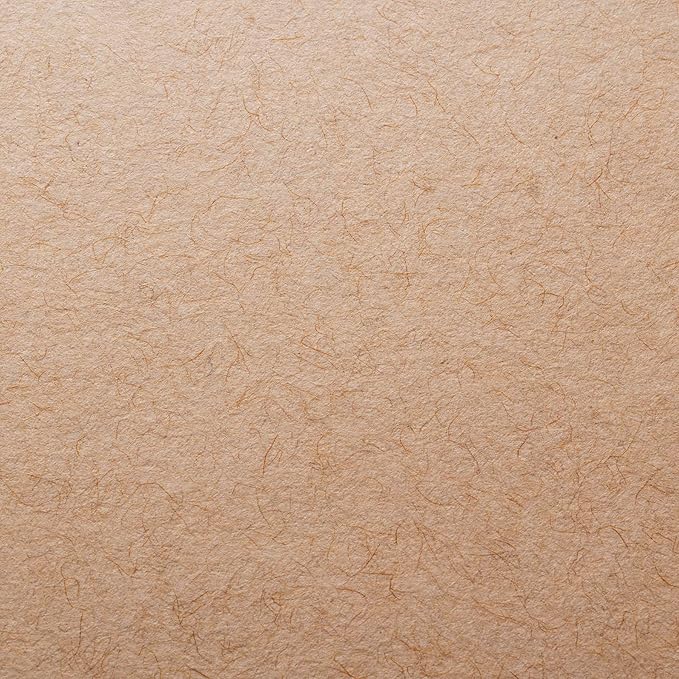 Pasler 5.5X8.5 Toned tan Sketch Pad, 2 Pack,100 Sheets (86lb./128gsm), Spiral Bound Artist Sketch Book, Acid Free Drawing Paper (2 Pack)