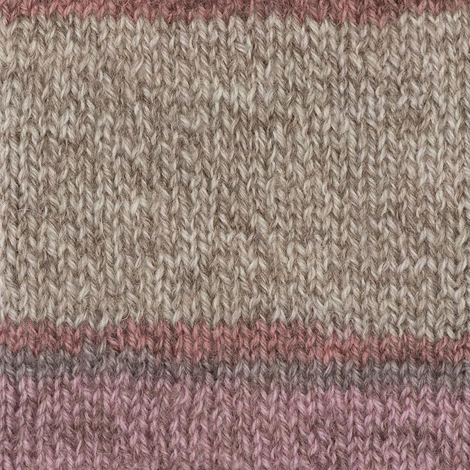 Patons Kroy Socks Yarn 2-Pack Bundle with Bella's Crafts Stitch Markers (Brown Rose Marl)