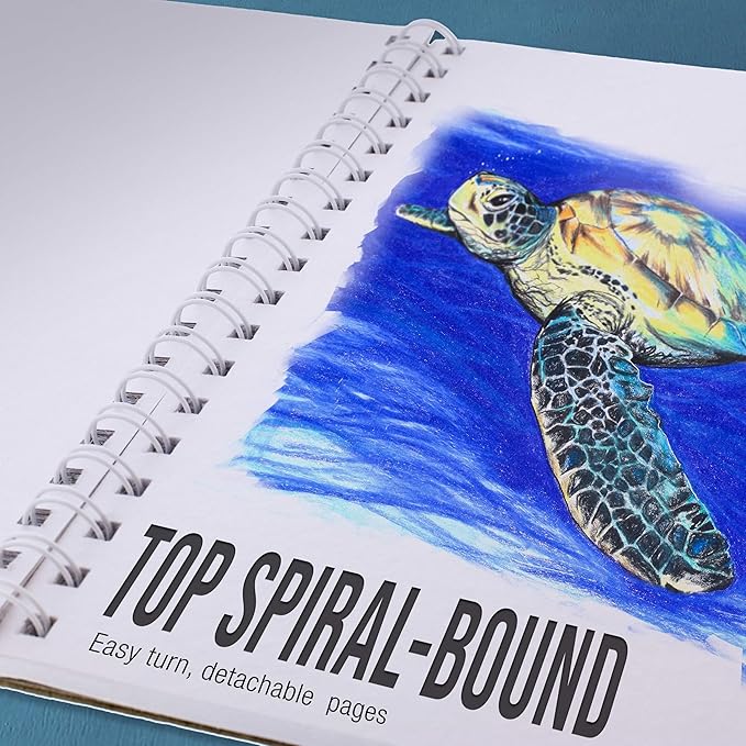 u.s. art supply 9”x12 premium heavy-weight paper spiral bound sketch book: 90 pound (160gsm), 30-sheet drawing pad (2 pack)