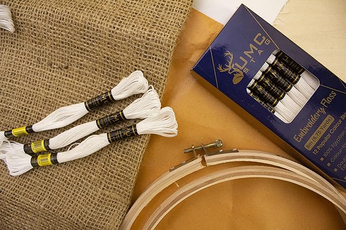 12 Pieces White Colour Premium Embroidery Thread | 100% Egyptian Cotton Premium Skeins | Cross Stitch Embroidery Floss | Oeko TEX Certified Stranded Cotton (White)