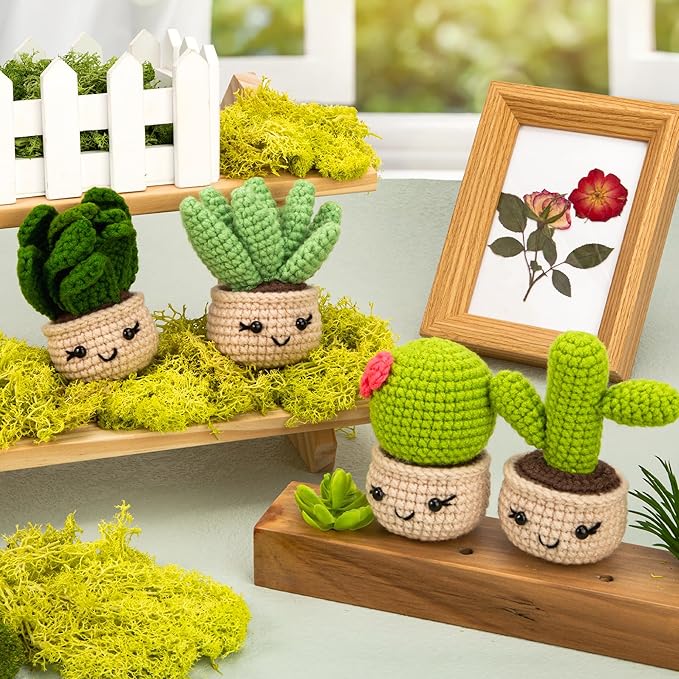 Karsspor Crochet Kit for Beginners, Complete Knitting Kit with Step-by-Step Instructions and Video Tutorials, Crocheting Set- 4 PCS Succulents, DIY Knitting Gift for Adults - Beginner-Crochet Lovers