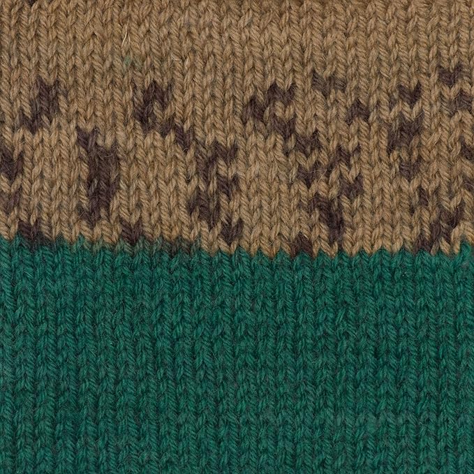 Patons Kroy Socks Yarn - (1) Gauge - 1.75 oz - Woodsie Woodsie - For Crochet, Knitting & Crafting