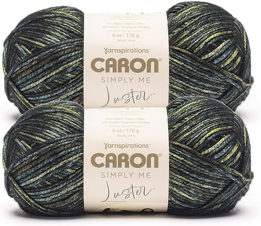 Caron Simply Me Luster Malachite Yarn - 2 Pack of 170g/6oz - 65% Nylon, 35% Acrylic - #4 Worsted (Medium) - 360 Yards - Knitting/Crochet
