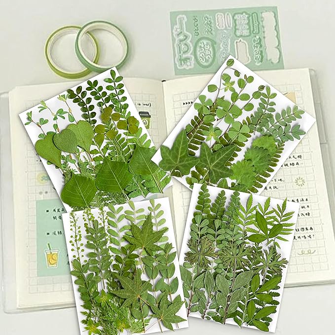 85PCS Real Dried Pressed Leaf Leaves, YouthBro Green Nature Plant Herbarium Set for DIY Jewelry Candle Soap Vase Making Nail Card Scrapbook Art Craft Floral Decors,28 Styles Green Mixed