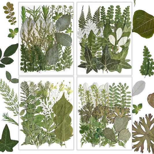 Resiners Dried Pressed Flowers for Resin Molds, Real Natural Dried Flowers Dry Leaves kit for Scrapbook Supplies Card Making Resin Jewelry Making Soap Candle DIY Crafts (Green Leaves100pcs)