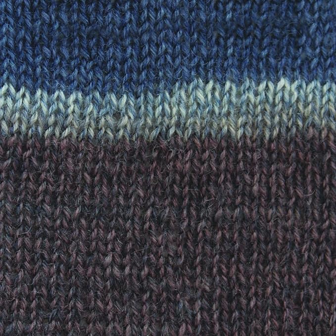 Spinrite Yarns Patons Kroy Socks, 1.75 Ounce, Blue Brown