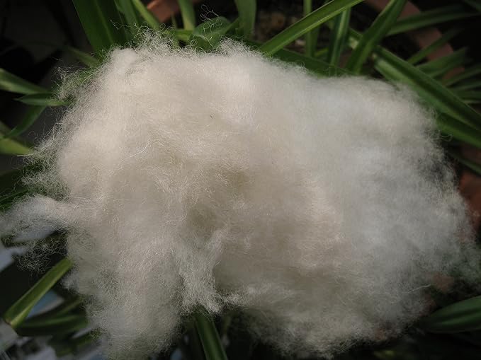 iMongol Carded Lambs Wool Stuffing Batting for Needle Felting, Knitted Crafts, Bright Creations, Pillow Filler, Stuffed Animals, Cushions,Super Clean Fine, Natural White(1oz, Combed Wool)
