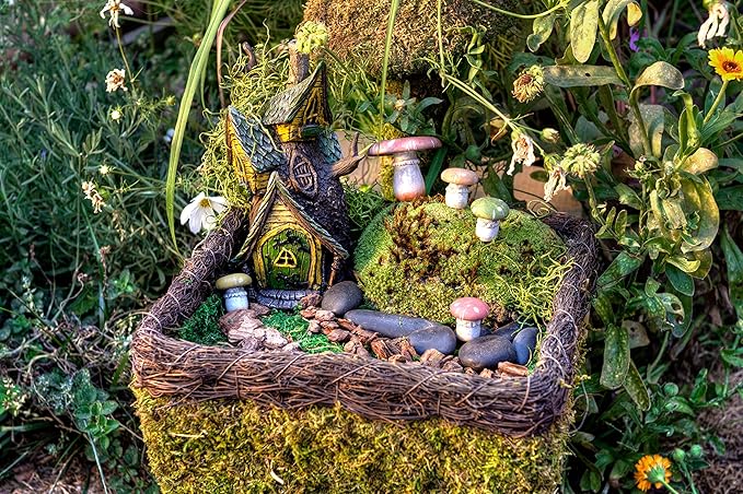 SuperMoss (50310) Fairy Garden Kit, Mixed Mosses, 4 oz., Multicolor