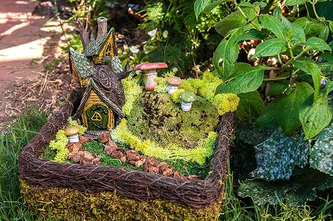 SuperMoss (50310) Fairy Garden Kit, Mixed Mosses, 4 oz., Multicolor