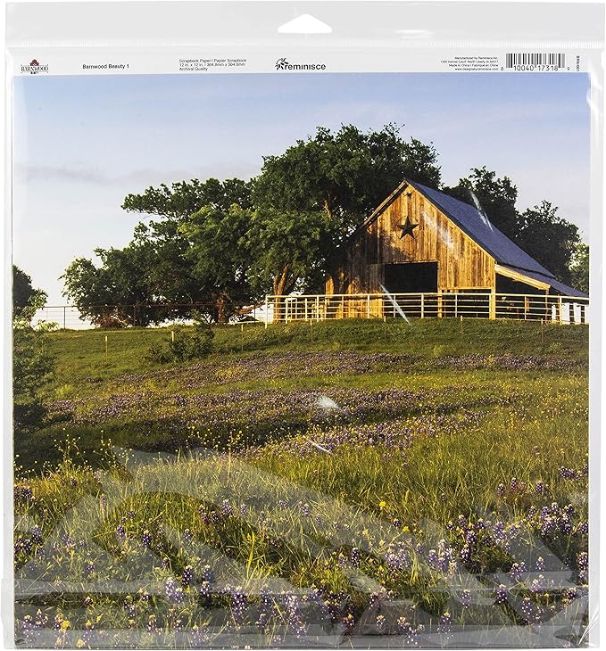 Reminisce Barnwood Beauty Scrapbook Collection Kit Paper Crafts, Multi Color Palette 12x12 inches