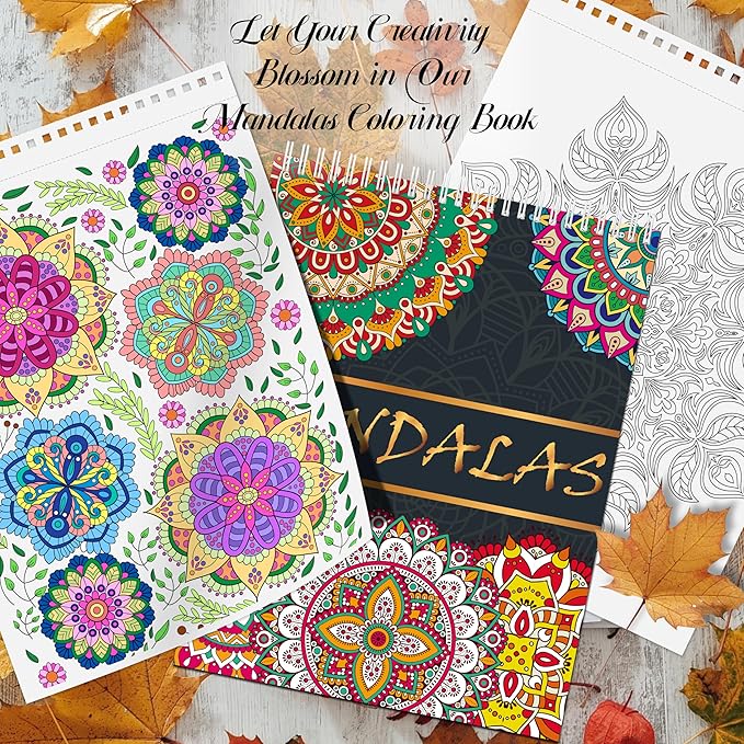Elfew 2 Pack Mandalas Coloring Books for Adult, 80 Original Mandala Patterns and Designs, Coloring Book for Adults Relaxation, Adult Coloring Book Spiral Bound, Relaxation Books for Women